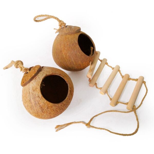 Natural coconut shell bird nest - Image 2