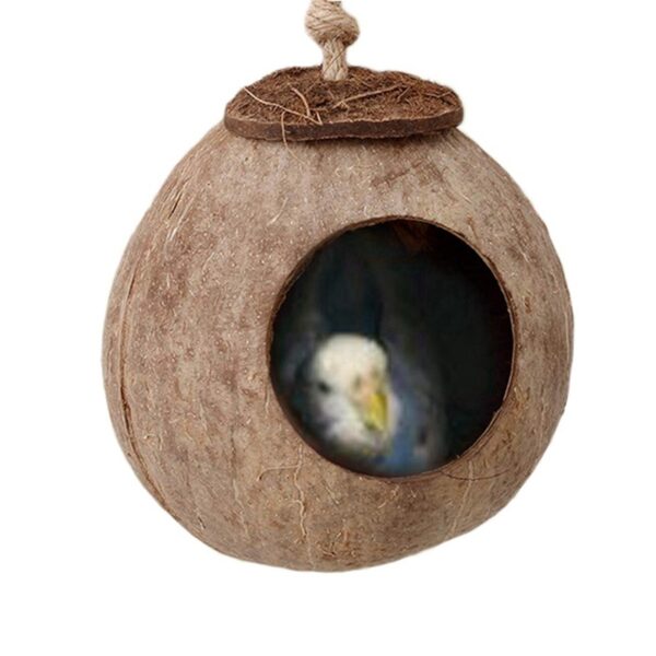 Natural coconut shell bird nest - Image 3