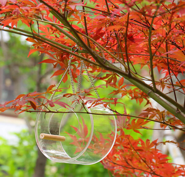 Acrylic Bird Food Box - Image 2