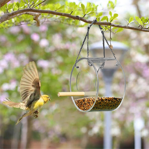 Acrylic Bird Food Box - Image 6