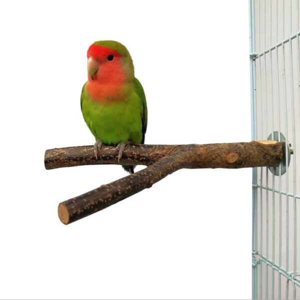 Bird Standing Frame Rattan Ring Chewing Toy Bird Cage - Image 2